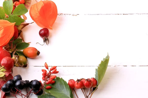 Herfst bessen voor thee op een witte houten achtergrond rozenbottels rowan hawthorn zee vuilboom zwarte chokeberry — Stockfoto