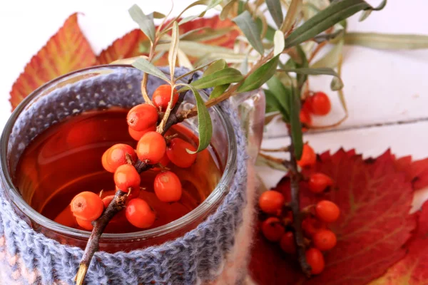 Té de hierbas de otoño espino cerval de mar de punto en una taza sobre un fondo de madera blanca — Foto de Stock