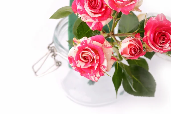 Bouquet of roses in a glass jar on a white background — Stock Photo, Image