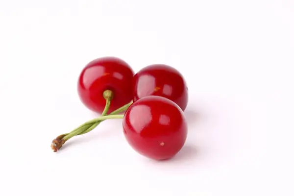 Cereza aislada sobre fondo blanco — Foto de Stock