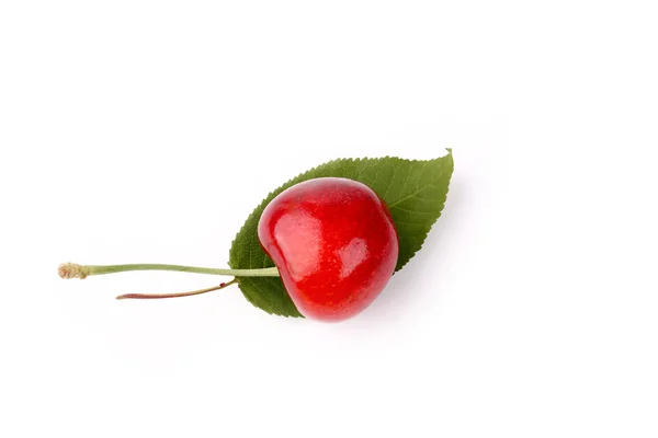 Cherry on a leaf isolated on white background — Stock Photo, Image