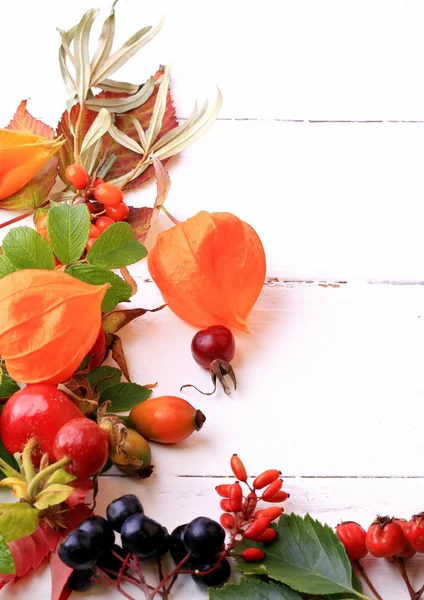 Bayas de otoño para el té sobre un fondo de madera blanco rosa mosqueta rowan espino cerval de mar negro chokeberry — Foto de Stock