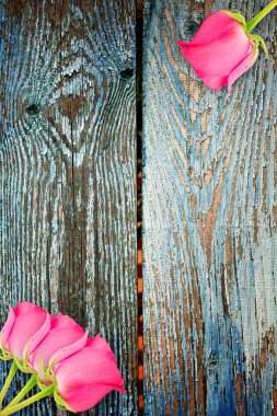 romantik retro arka plan vintage eski ahşap gül