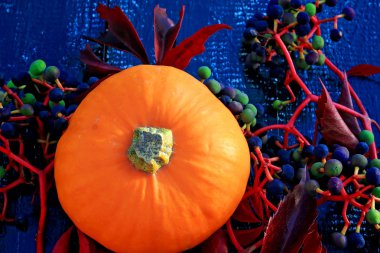 Kabak yabani üzüm sonbahar arka plan siyah ahşap arka plan günbatımı akşam