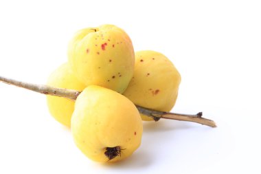 Beyaz arka plan üzerinde izole Ayva japonica