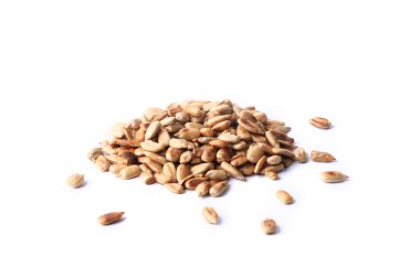 Beyaz arka plan üzerinde izole Ayçekirdeği soyulmuş kızarmış