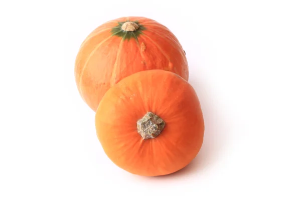 Two pumpkins isolated on a white background couple — Stock Photo, Image