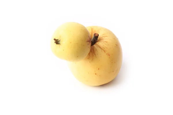 Deux pommes jaunes isolées sur fond blanc couple — Photo