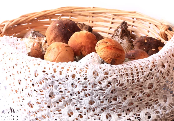 Cestino di funghi commestibili selettivo soft focus — Foto Stock