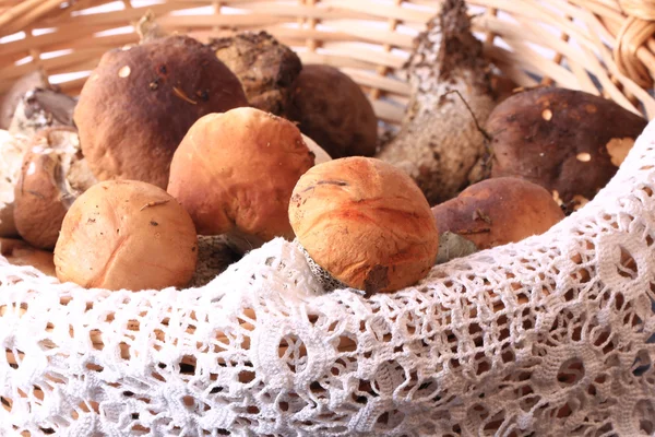 Cesta de cogumelos comestíveis foco suave seletivo — Fotografia de Stock