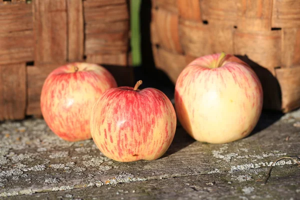 Μήλα σε ένα ξύλινο πάγκο παλιό ρετρό vintage ρουστίκ στυλ καλοκαίρι φθινόπωρο — Φωτογραφία Αρχείου