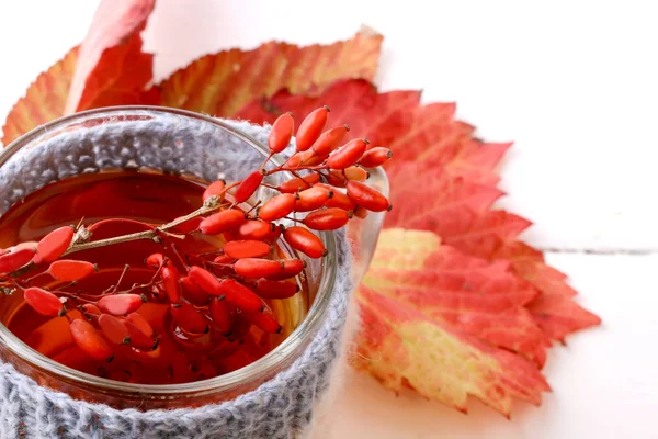 Barberry tea with a knitted mug isolated on a white background — Stock Photo, Image