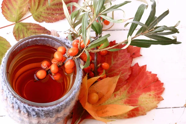 Tea with sea-buckthorn in knit mug isolated on a white background — Stock Photo, Image