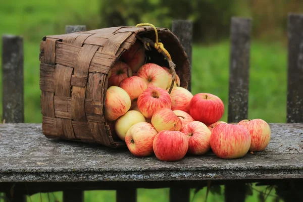 elma bir hasır sepet eski retro vintage rustik tarzı yaz Sonbahar