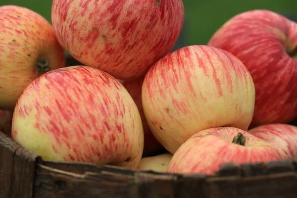 Яблоки в плетеной корзине старый ретро винтажный деревенский стиль осенью — стоковое фото