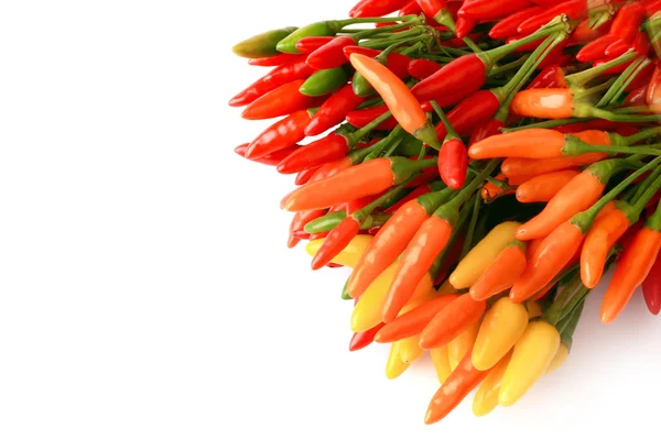 Gorąca papryka chili izolowana na białym tle — Zdjęcie stockowe