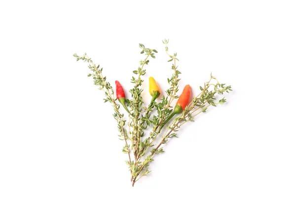 Especiarias pimentão de tomilho pimentas isoladas sobre fundo branco — Fotografia de Stock