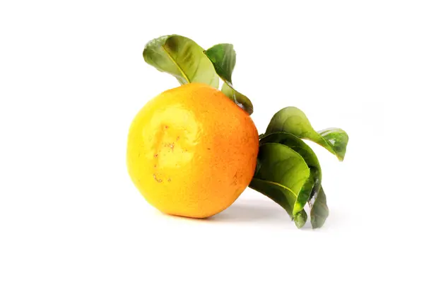 Tangerine med blad isolerad på en vit bakgrund — Stockfoto