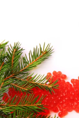 Noel köknar ağacı dalı kırmızı somon havyar beyaz arka plan üzerinde izole