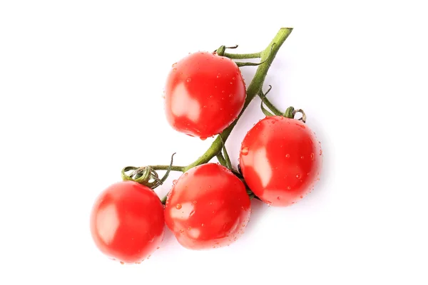 Tomates cereja em um ramo isolado no fundo branco — Fotografia de Stock