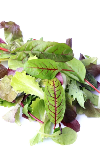 Mescolare insalata verde isolata su uno sfondo bianco eco biologico stile di vita sano — Foto Stock