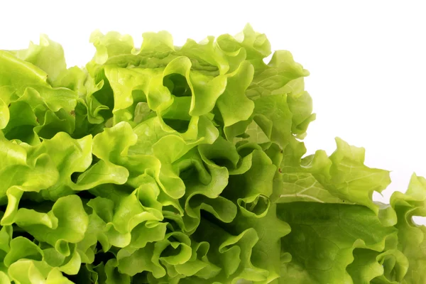Свіжий зелений салат ізольований на білому тлі здоровий спосіб життя, дієта — стокове фото
