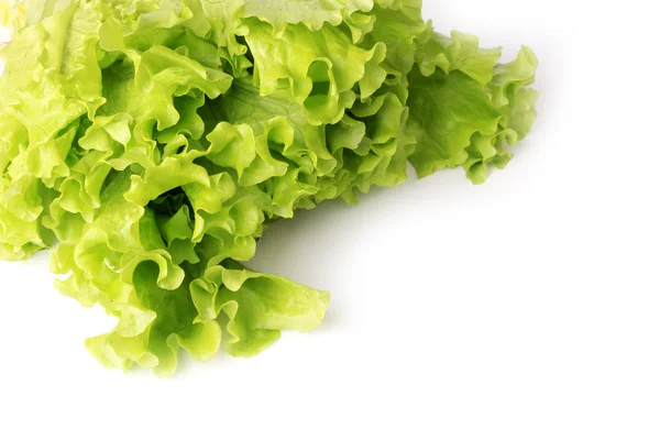 Lechuga verde fresca aislada sobre un fondo blanco estilo de vida saludable, dieta — Foto de Stock