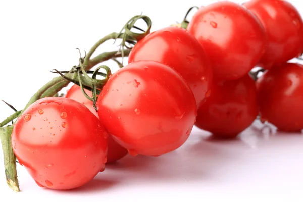 Tomates cereja em um ramo isolado no fundo branco — Fotografia de Stock