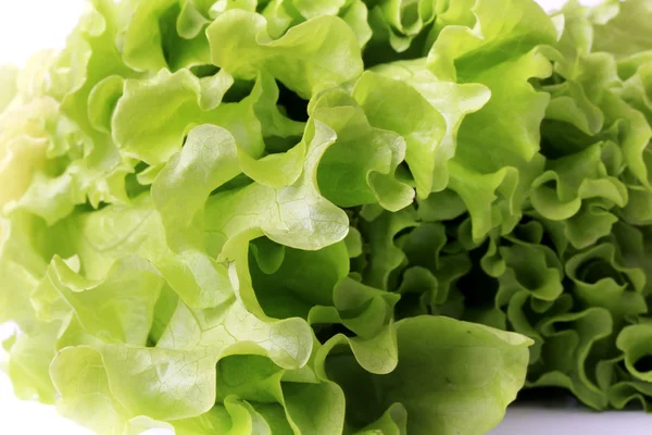 Свіжий зелений салат ізольований на білому тлі здоровий спосіб життя, дієта — стокове фото