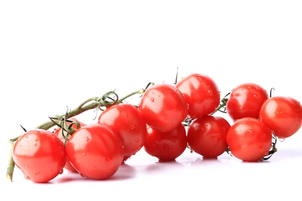 Tomates cereja em um ramo isolado no fundo branco — Fotografia de Stock