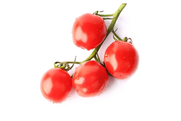 Tomates cherry en una rama aislada sobre fondo blanco — Foto de Stock