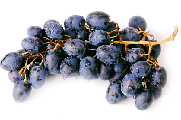 Raisins noirs isolés sur fond blanc — Photo