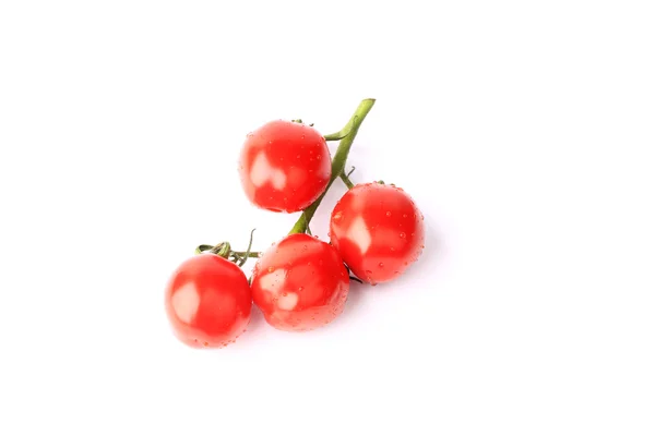 Tomates cerises sur une branche isolée sur fond blanc — Photo