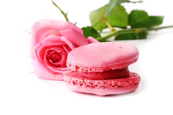 Macaroon tenera rosa rosa isolato su sfondo bianco — Foto Stock