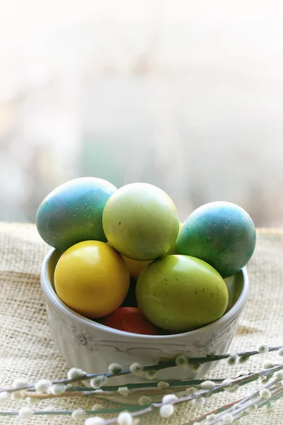 Easter eggs gentle background painted with natural colors very soft selective focus — Zdjęcie stockowe