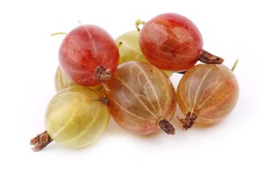 kruisbes geïsoleerd op witte achtergrond