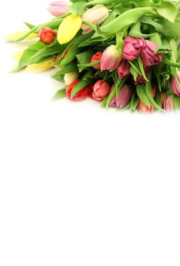 bahar beyaz arka plan