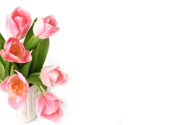 Pink tulips isolated on white background spring summer mothers day clipart
