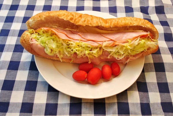 Jambon ve tavuk Deli sandviç bir piknik masa örtüsü üzerinde hizmet domates ile — Stok fotoğraf
