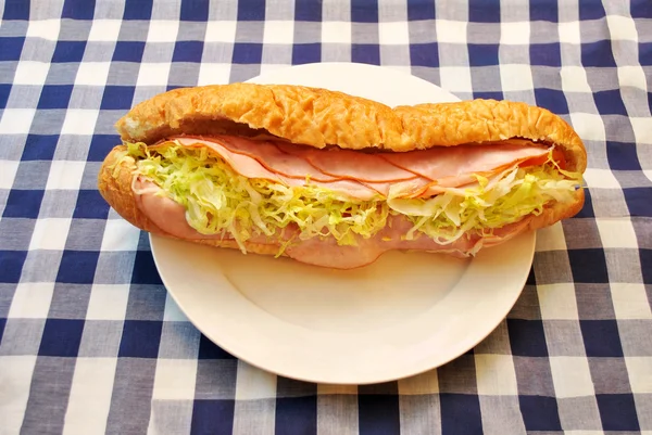 Jambon ve tavuk Deli sandviç bir piknik masa örtüsü üzerinde servis — Stok fotoğraf