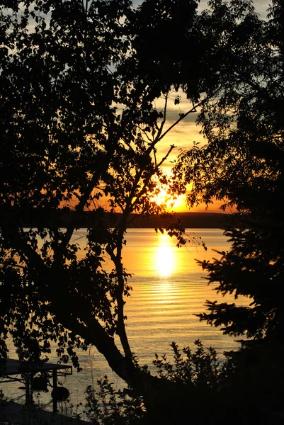 Mirando una hermosa puesta de sol a través de los árboles en un día caluroso de verano — Foto de Stock