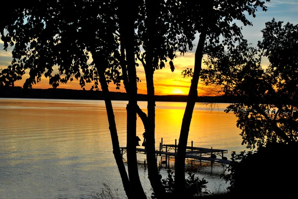 A Bright Summer Sunset Looking Through the Trees on a Large Lake — Stock Photo, Image