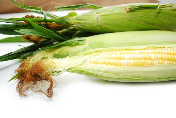 Frisch gepflückter Mais auf dem Maiskolben — Stockfoto