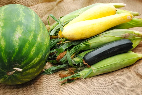 Pastèque entière avec d'autres légumes de jardin biologiques — Photo