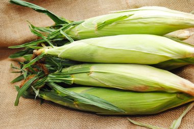 çuval bezi zemin üzerinde Mısır