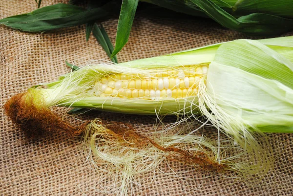 Corn on the Cob with Part of it Peeled — Stock Photo, Image