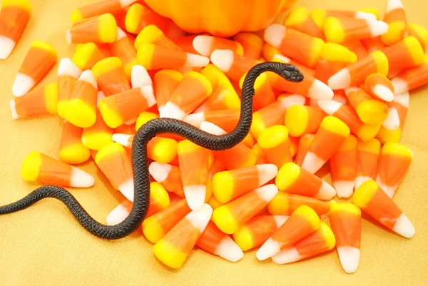 A BLack Toy Snake on Tasty Candy Corn — Stock Photo, Image