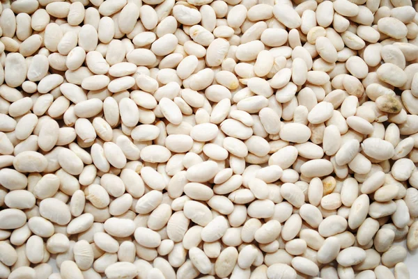 Background of Great Northern White Beans — Stock Photo, Image