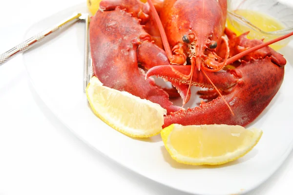 Citron frais servi avec un homard biologique entier — Photo