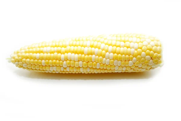 Ein Mais auf dem Maiskolben über dem weißen — Stockfoto